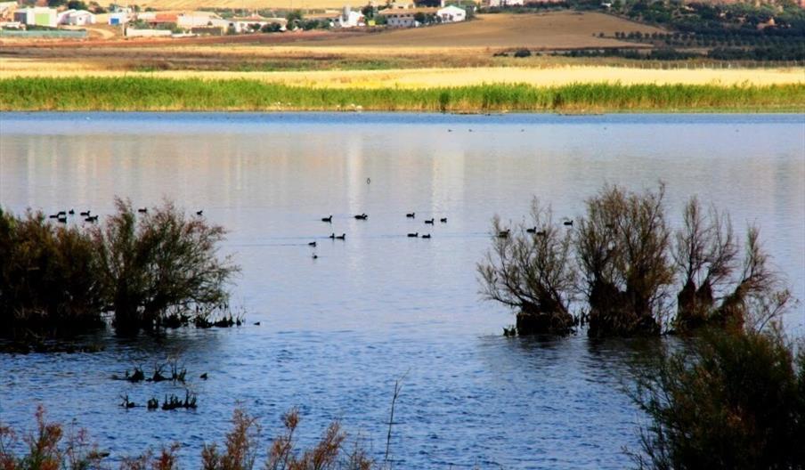 Lagunas de Campillos