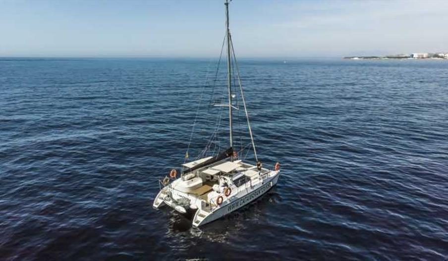 Tour catamara´n y arroz marinero