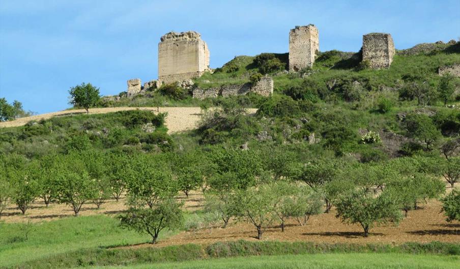 Castillo de Turón