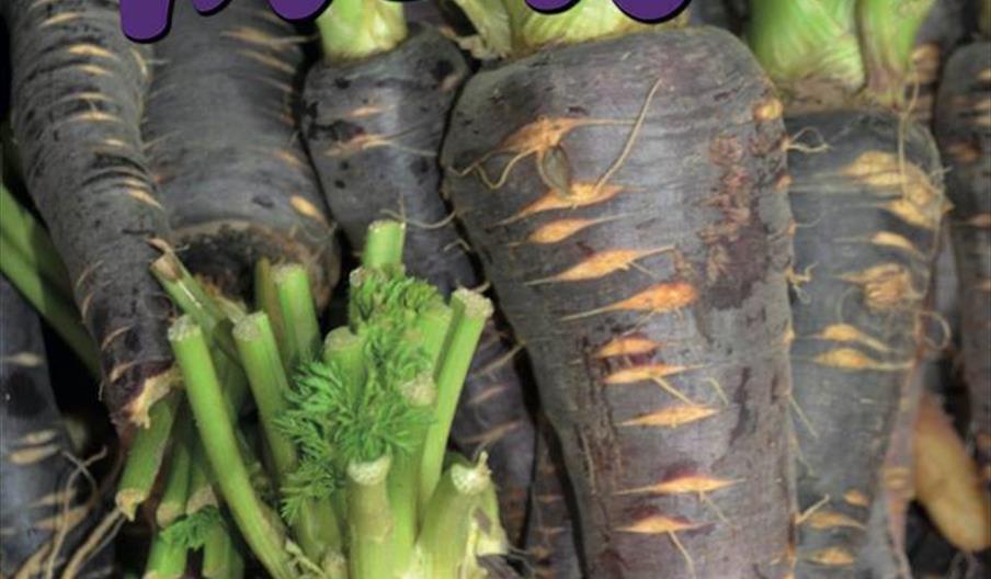 Fiesta de la Zanahoria Morá