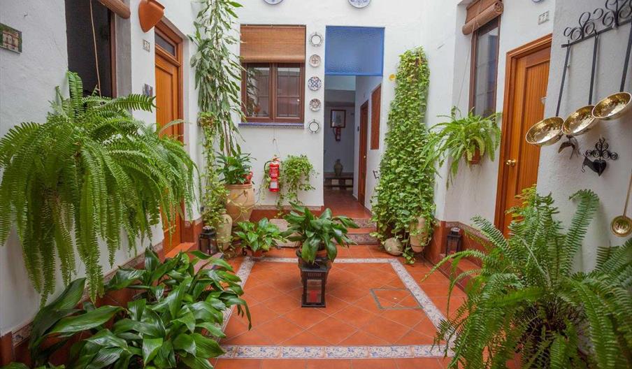 Pensión San Pancracio