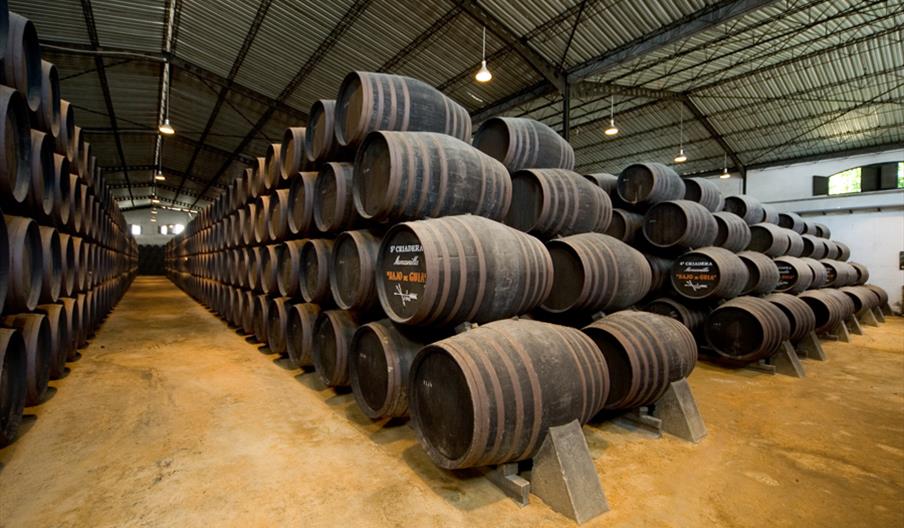 Cooperativa del Campo Virgen de la Caridad