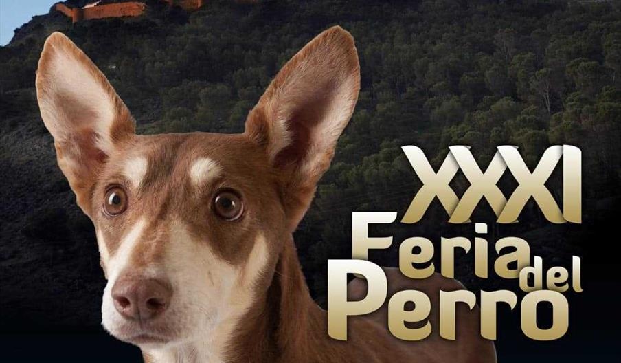 feria del perro archidona