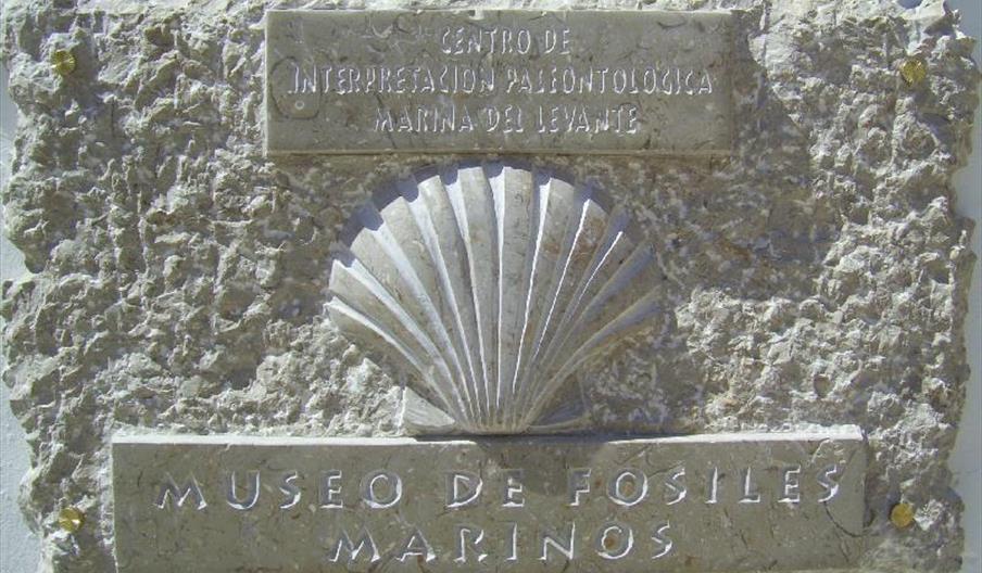 Centro de Interpretación Paleontológica - Museo de los Fósiles Marinos