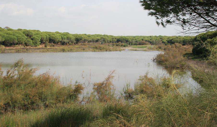 Laguna de El Portil