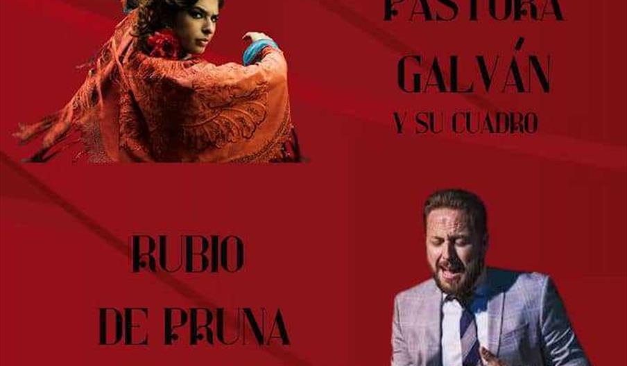 Festival Flamenco de Pruna