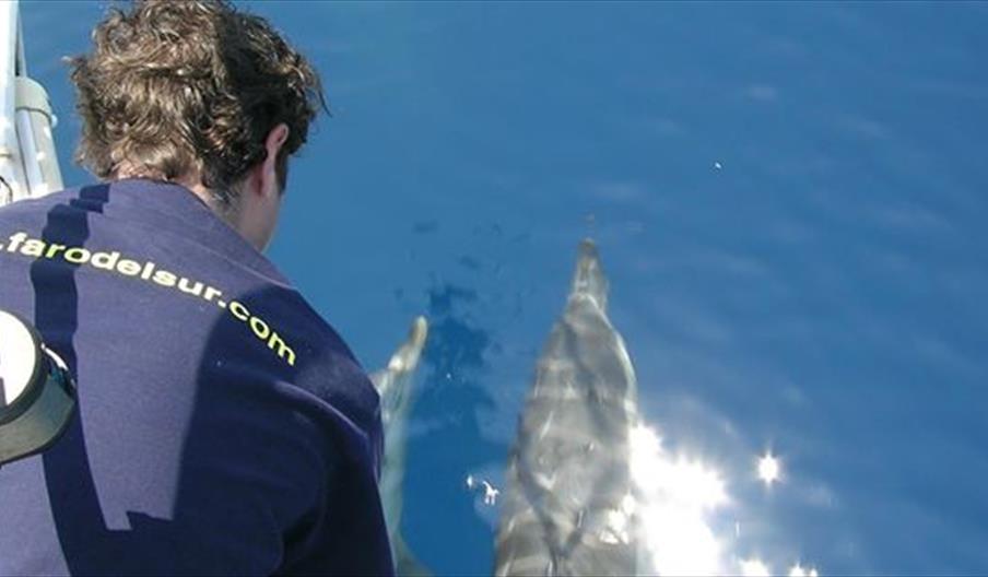 Faro del Sur Viajes y Aventuras