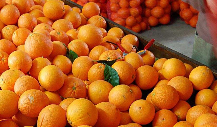 Naranjas y Cítricos Ecológicos Biovalle