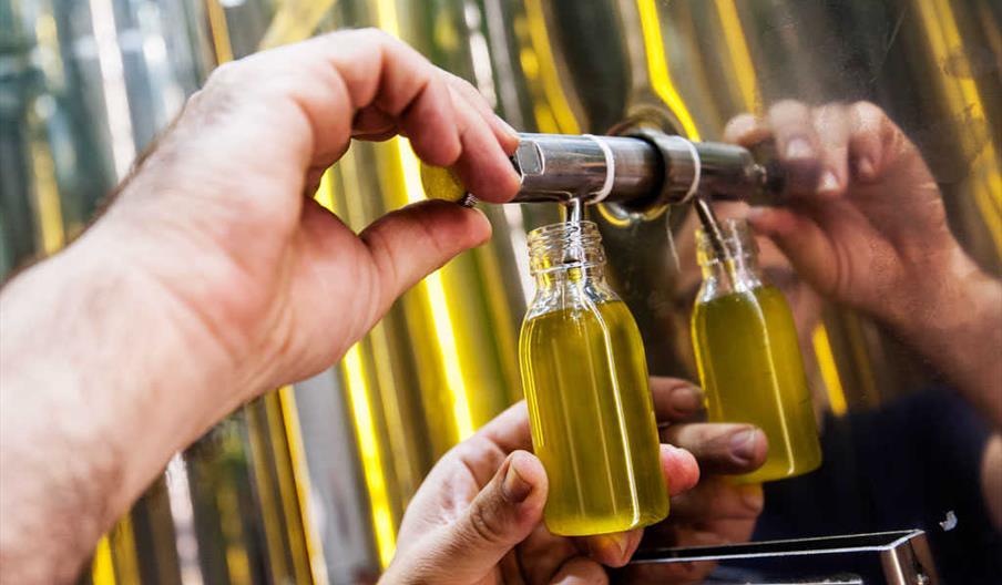 Aceites Cortijo La Loma