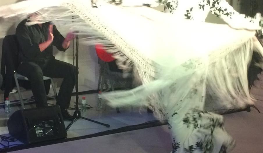 Peña Flamenca de Jaén