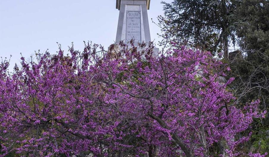 Peñ´´on del Sagrado Corazón