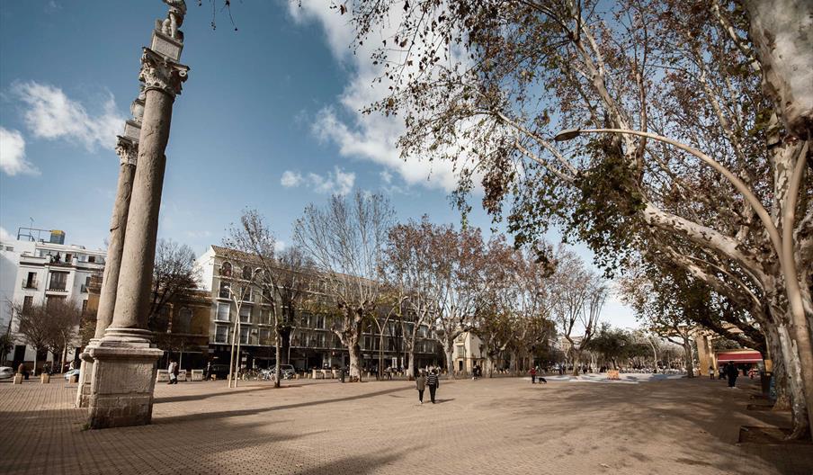 Alameda de Hércules