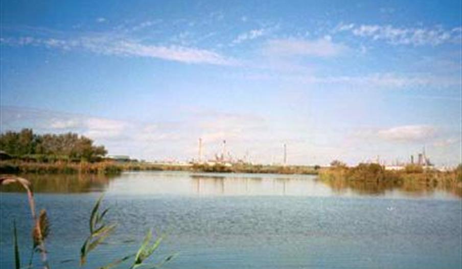 Lagunas de Palos y Las Madres