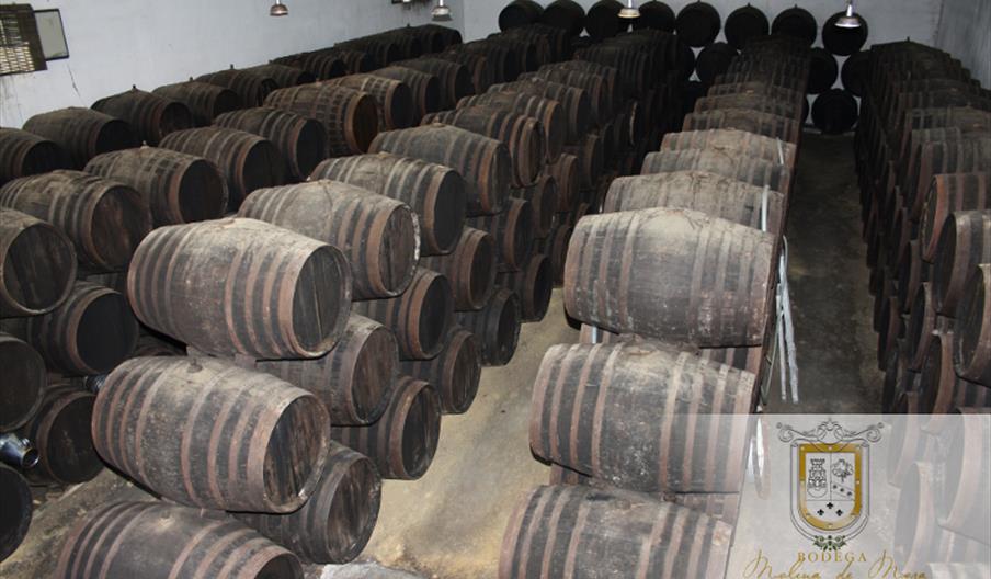 Bodegas Molina de Mora