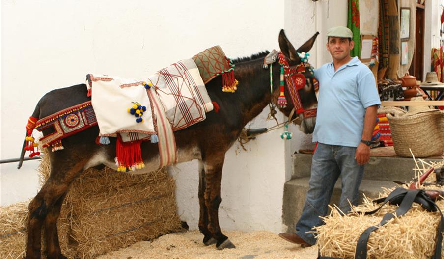 Los Burros de Juanino