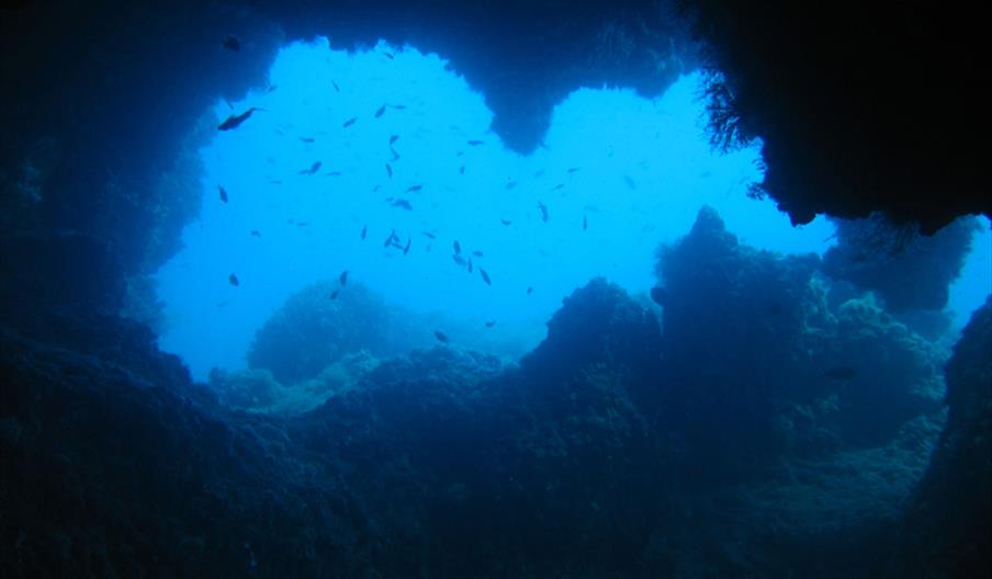 Centro de Buceo Villaricosub