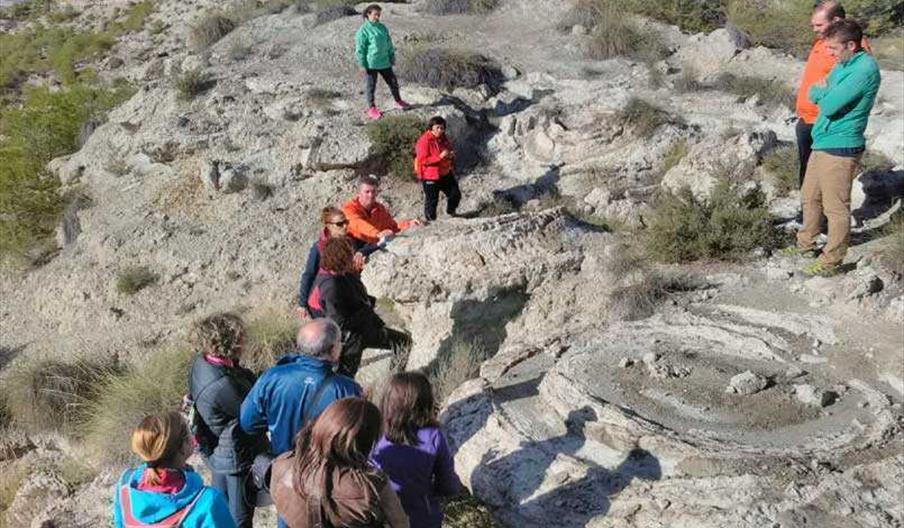 HUELLAS DE LOS TERREMOTOS