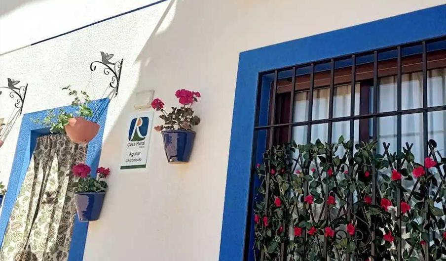 Foto perfil RRSS del alojamiento