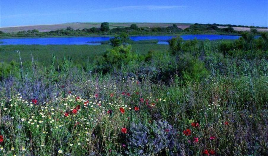 Complejo Endorreico de Chiclana