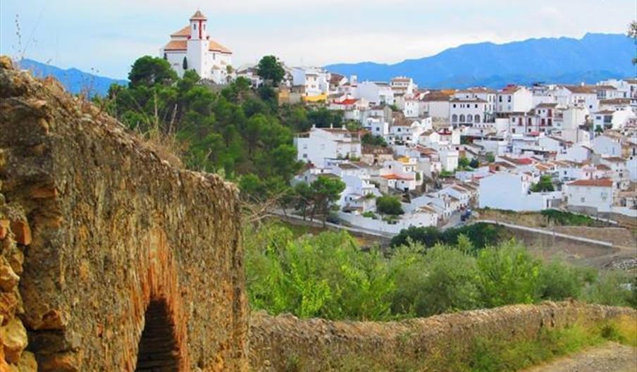 Feria de la Aceituna