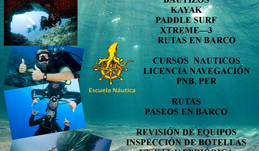 Buceo Calamar Gigante Villaricos