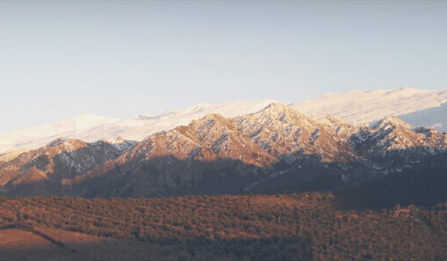 Almazara Quaryat Dillar