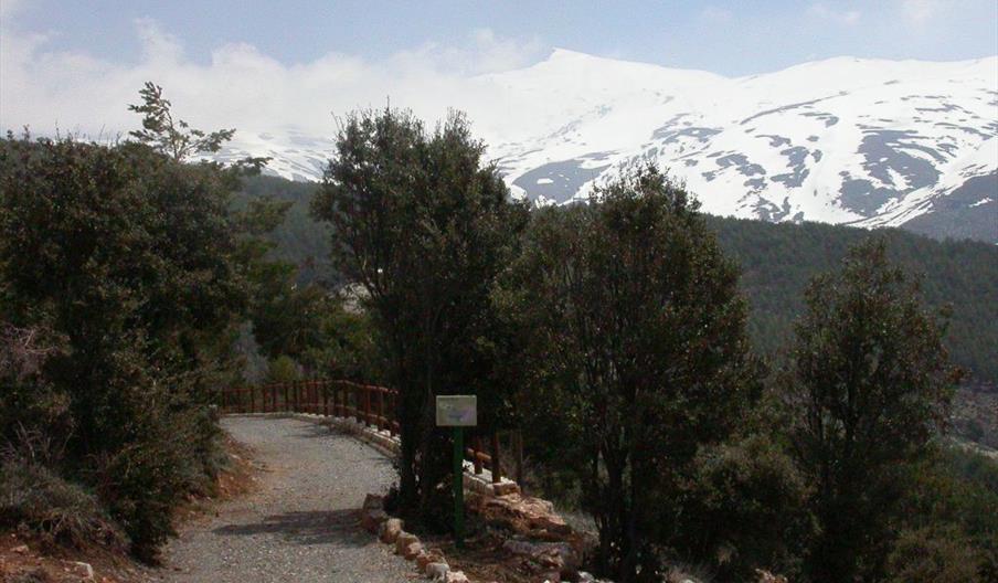 Jardín Botánico Hoya de Pedraza