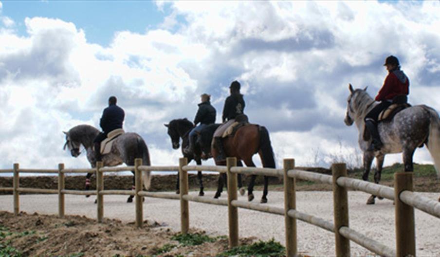 Escuela de Equitación Diego Romero