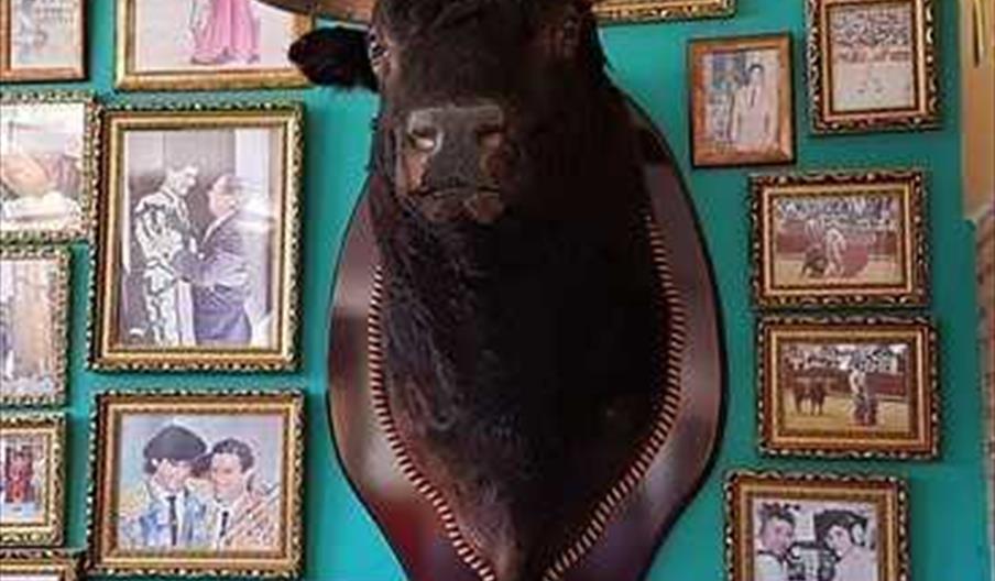 Museo Taurino Jesulín de Ubrique