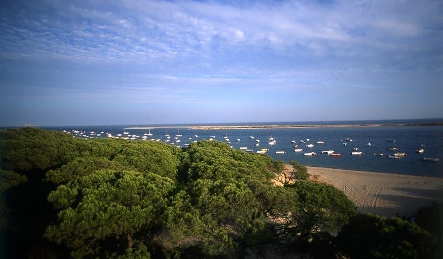 Marismas del Río Piedras y Flecha del Rompido