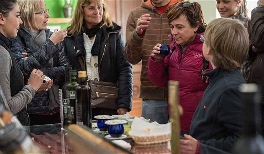 Oleoturismo almazara Oleofer Tierras de Tavara