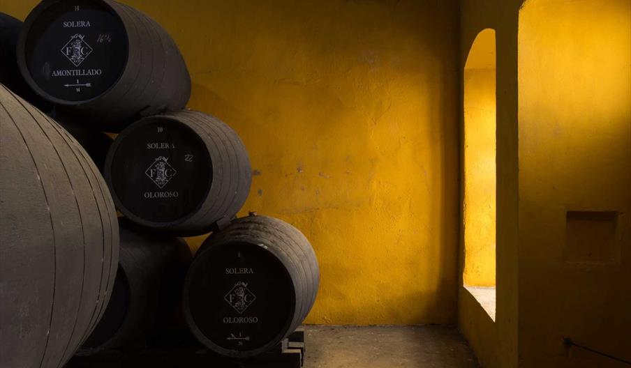 Fernando de Castilla