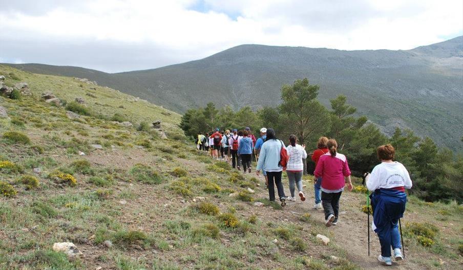 Zalactive Ocio y Deporte