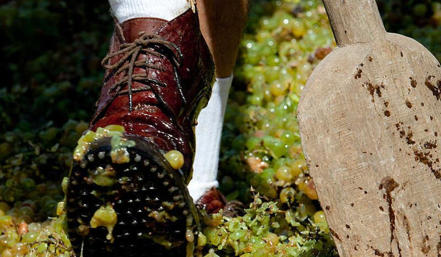 Fiesta de la Vendimia