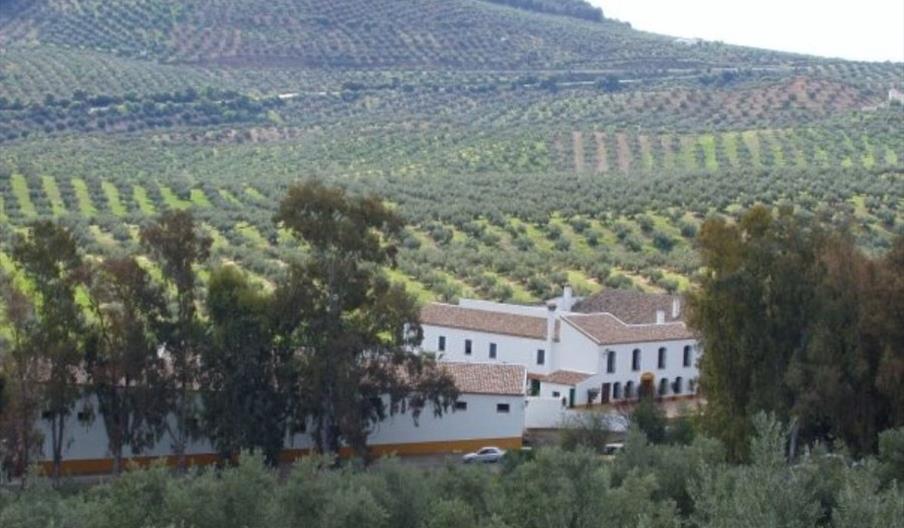 Almazara Soler-Romero