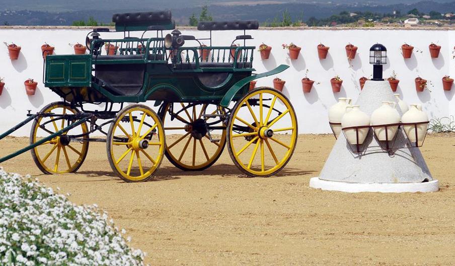 Centro Rural Malpica