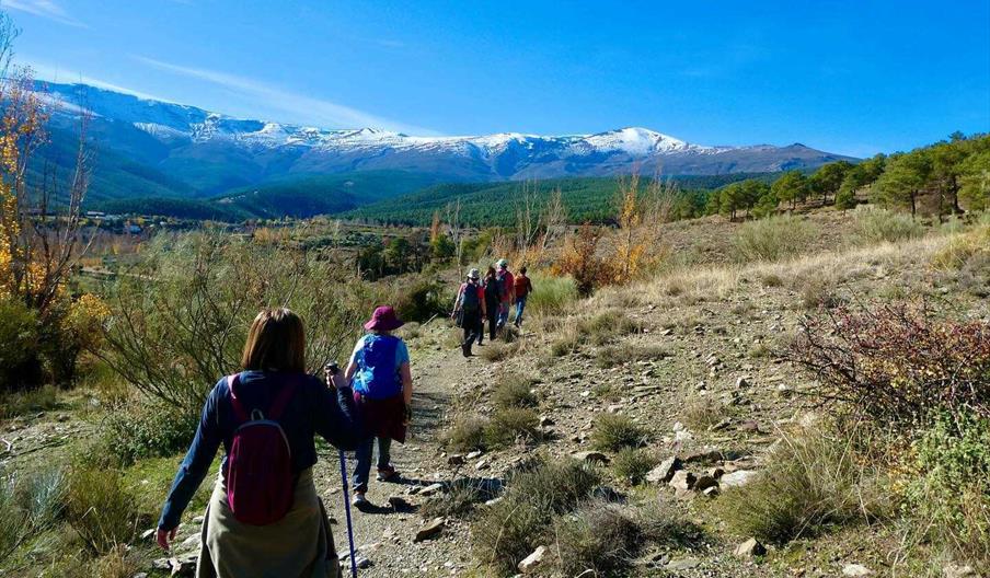 Marcha nórdica en Granada