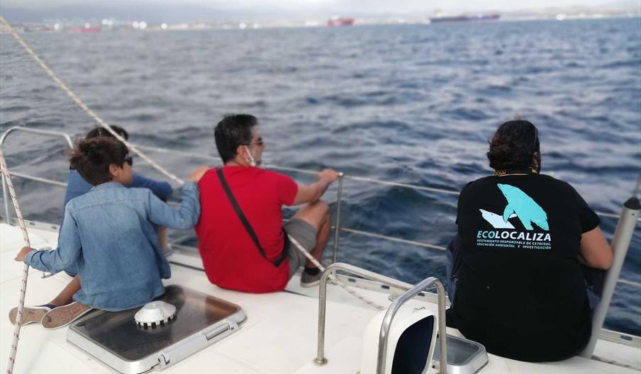 Vive una experiencia única y emocionante