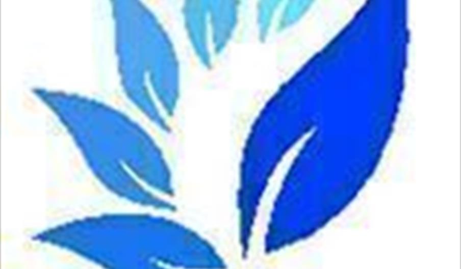 Travels Lab La Cala del Moral