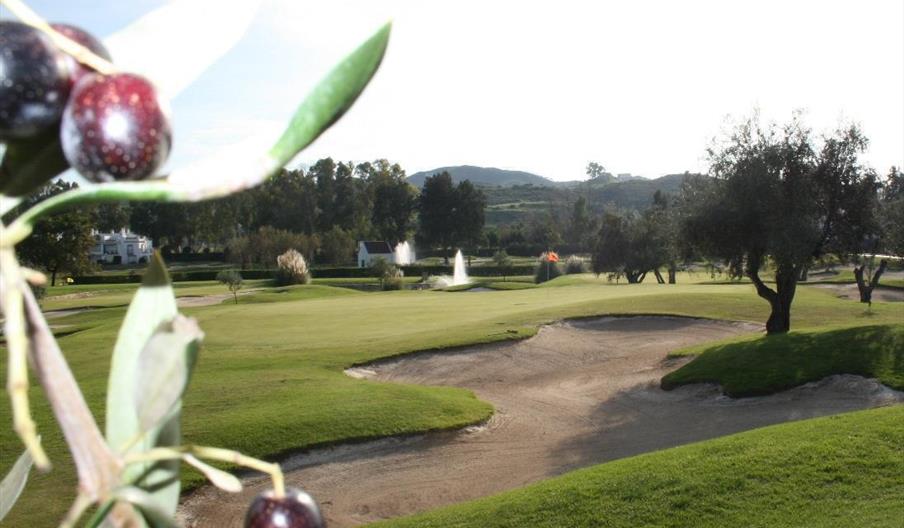 Club Mijas Golf Los Olivos