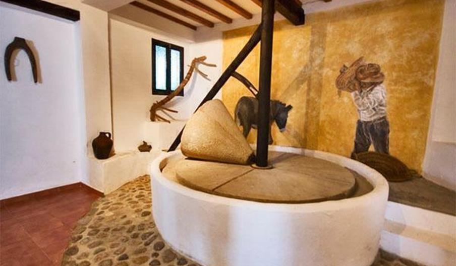 Centro Cultural del Olivo Juan Antonio Morillo Ruiz - Basilippo