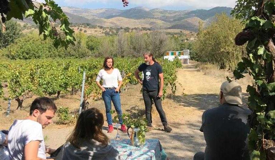 Vinos naturales de la Alpujarra almeriense