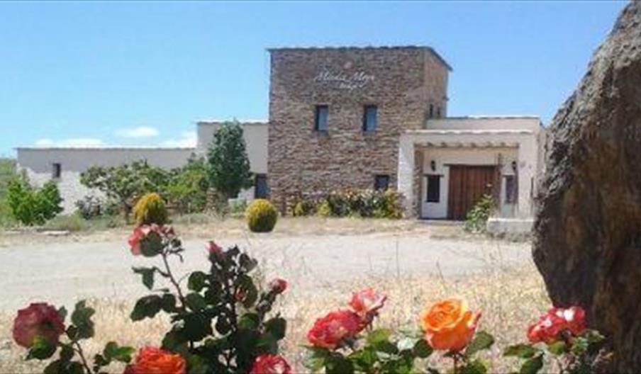 Bodegas Méndez Moya