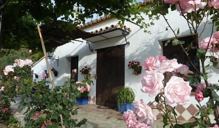 Apartamentos Finca El Moralejo