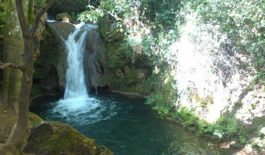 Santa María de Trassierra