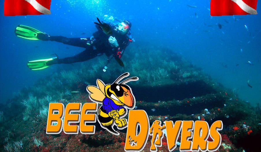 BeeDivers Gibraltar