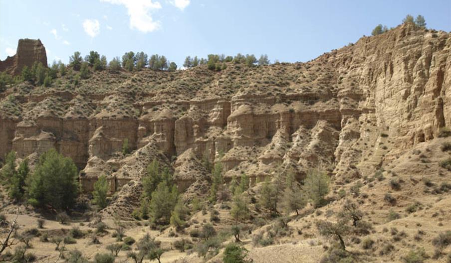 Cárcavas de Marchal