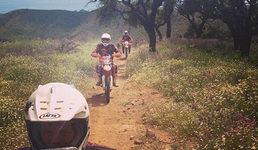 Dust Devils Adventure Tours