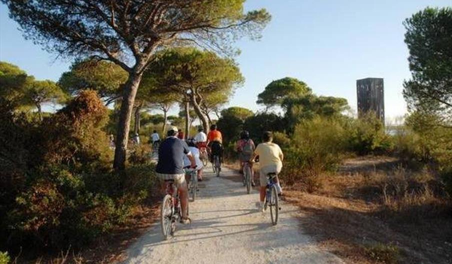 Parque Metropolitano Marisma de Los Toruños y Pinar de la Algaida