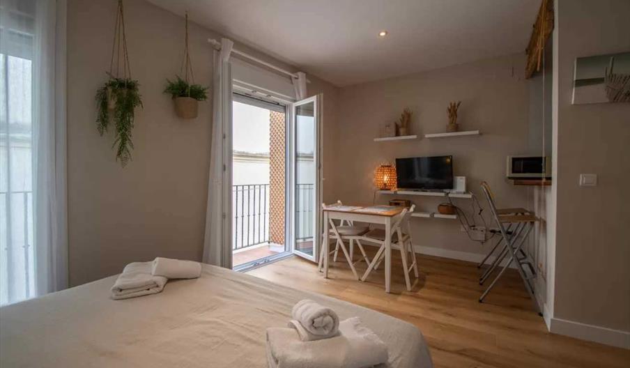 Apartamento Estudio de la Rosa
